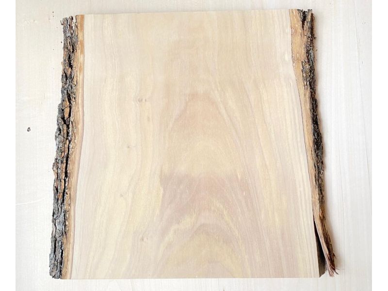 Unique piece in solid olive wood with chamfers and bark 28x30 cm