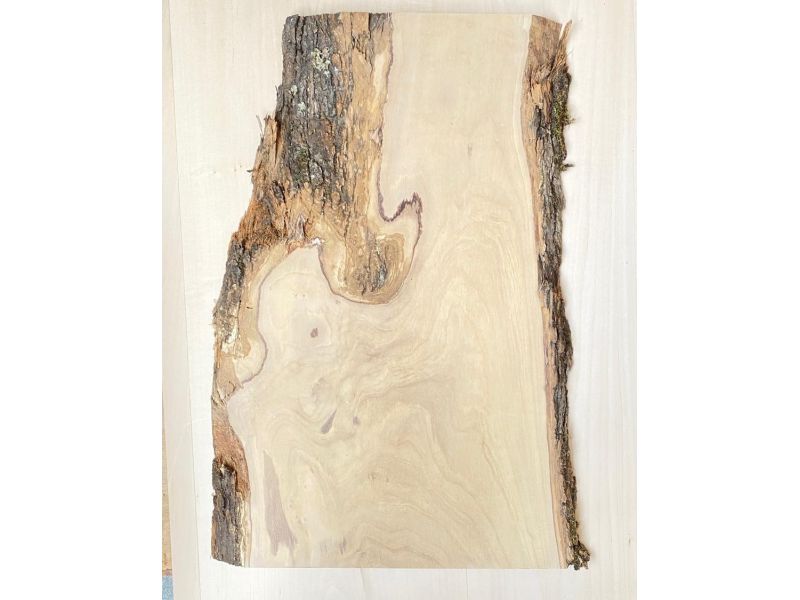 Unique piece in solid olive wood with chamfers and bark  28x48 cm