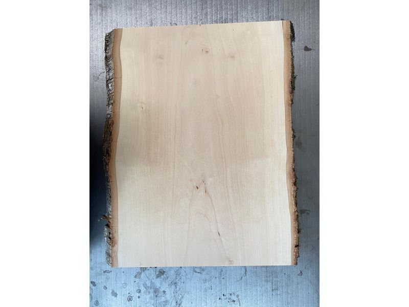 Pezzo unico in legno massiccio di BETULLA, larghezza 30 cm, altezza 41 cm