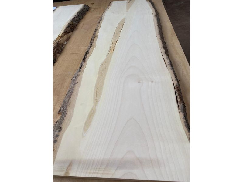 Peza unica en madera maciza de ARCE, ancho 31 cm, alto 101 cm