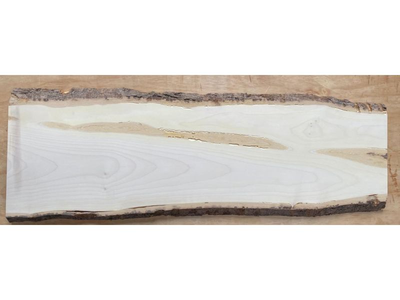 Peza unica en madera maciza de ARCE, ancho 31 cm, alto 101 cm