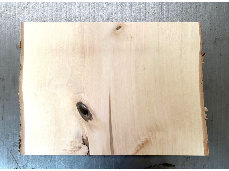 Pezzo unico in legno massiccio di BETULLA, larghezza 31 cm, altezza 24 cm