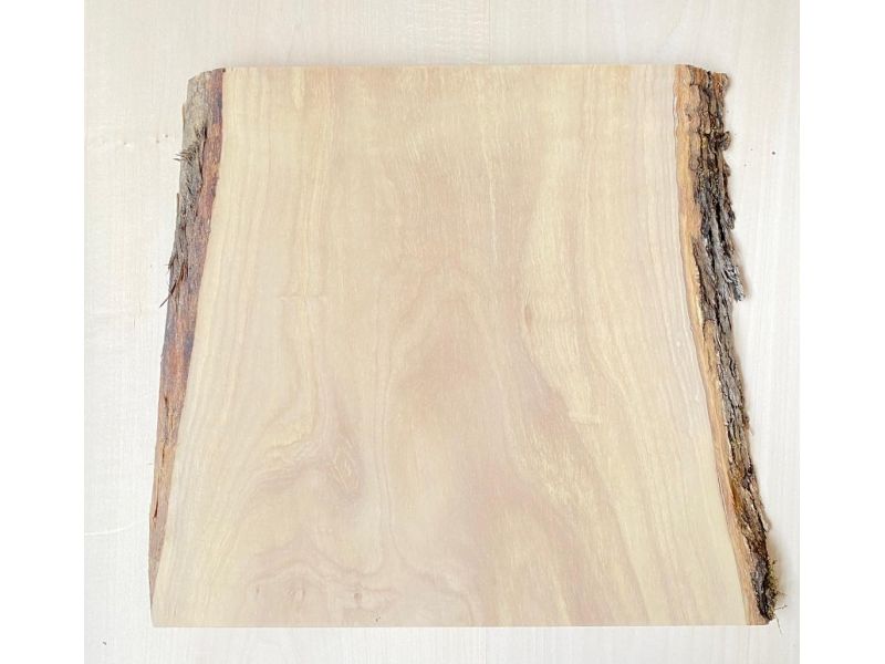 Unique piece in solid olive wood with chamfers and bark  31x30 cm