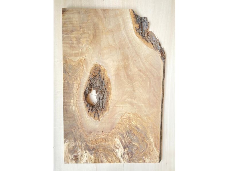 Unique piece in solid olive wood with chamfers and bark  32x50 cm