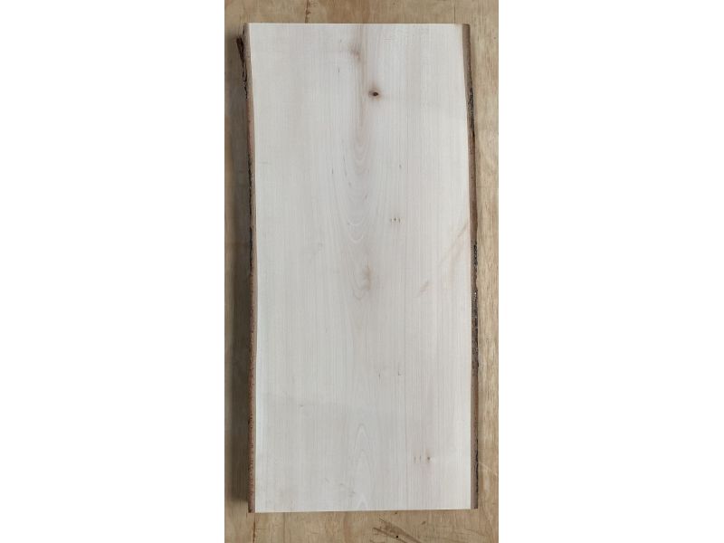 Unique piece in solid lime wood with bark, for pyrography, 32x70 cm