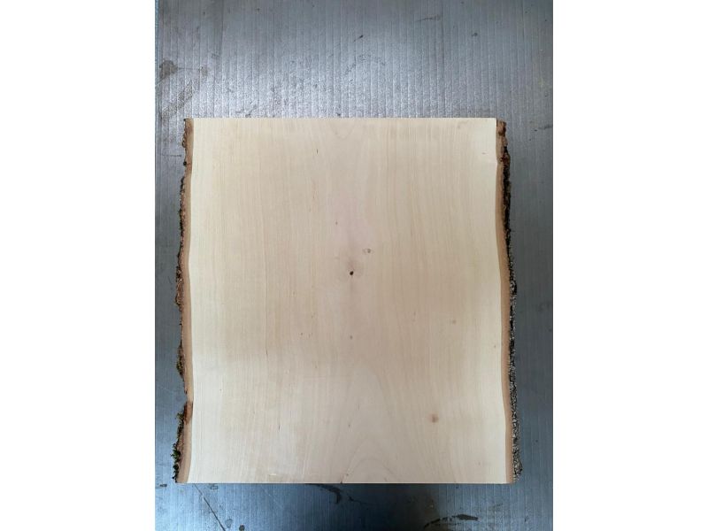 Pezzo unico in legno massiccio di BETULLA, larghezza 34 cm, altezza 41 cm