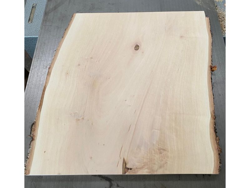 Pezzo unico in legno massiccio di BETULLA, larghezza 35 cm, altezza 41 cm