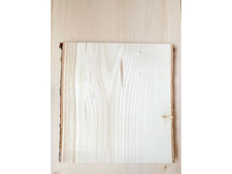 Pezzo unico in leassiccio di Tiglio, con corteccia, per pirografia, 37x40 cm