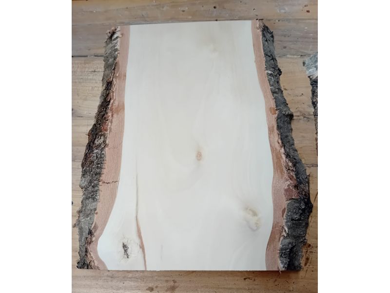 Pice diverse en bois de bouleau massif, avec corce, pour pyrogravure, 20x30 cm