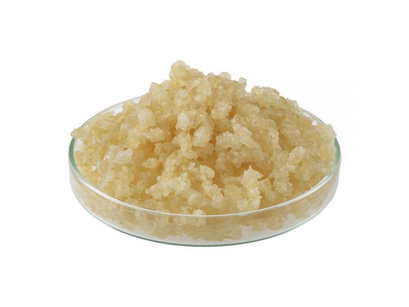 Sturgeon glue in grains, 100 gr