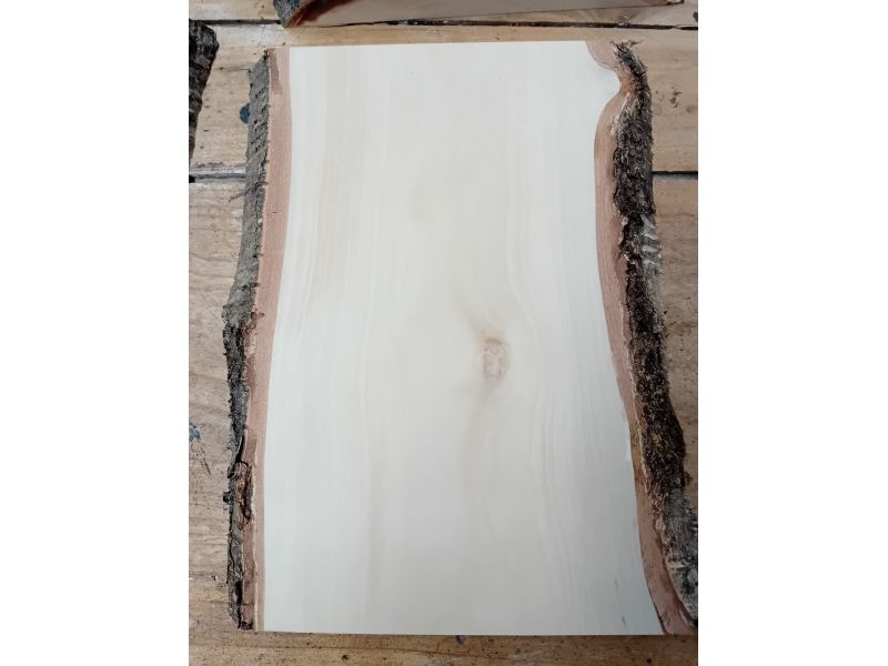 Pezzo vario in legno massiccio di Betulla, con corteccia, per pirografia, 20x30 cm