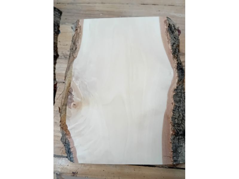 Pezzo vario in legno massiccio di Betulla, con corteccia, per pirografia, 20x30 cm