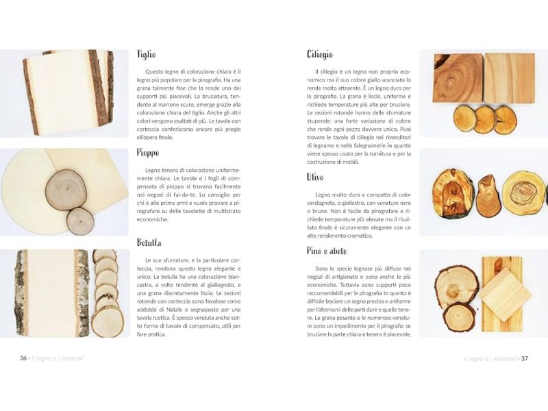 Manuale di pirografia. Introduzione alla tecnica. Con QR Code