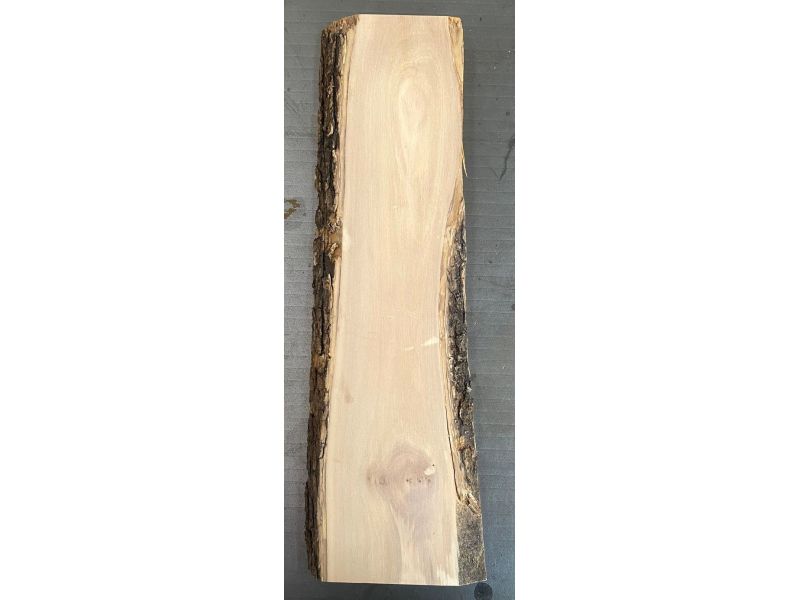Pezzo unico in legno massiccio di ulivo con smussi e corteccia 8x40 cm