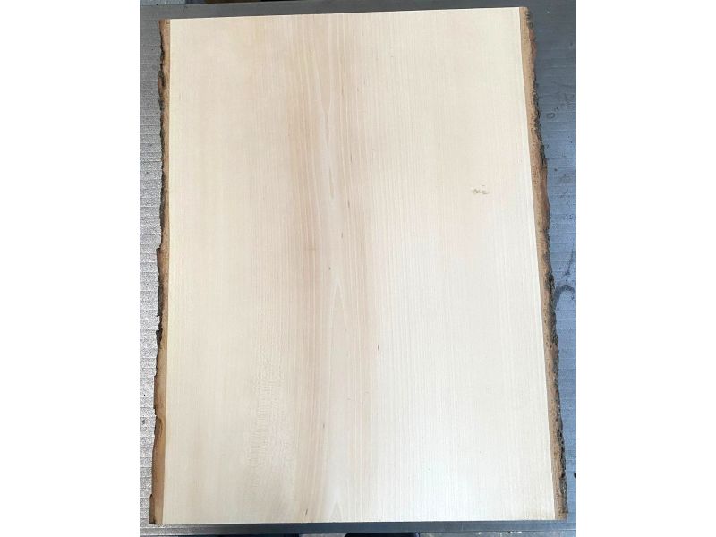 Pi�ce unique en boi tilleul massif, avec �corce, pour pyrogravure, 30-32x45 cm