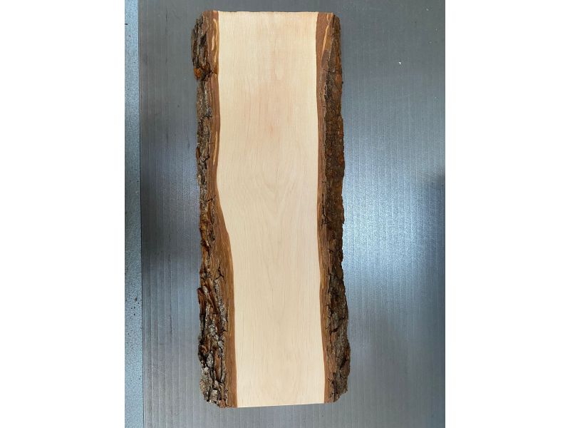 Pice unique, en bois d'AULNE massif avec biseaux et corce, 18x50 cm