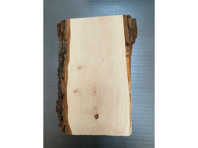 Pieza nica, en madera maciza de ALISO con biseles y corteza, 16x26 cm