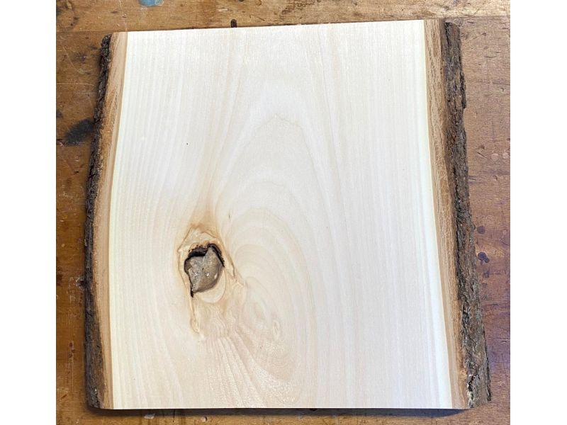 Pezzo unico in leassiccio di Tiglio, con corteccia, per pirografia, 26x28 cm