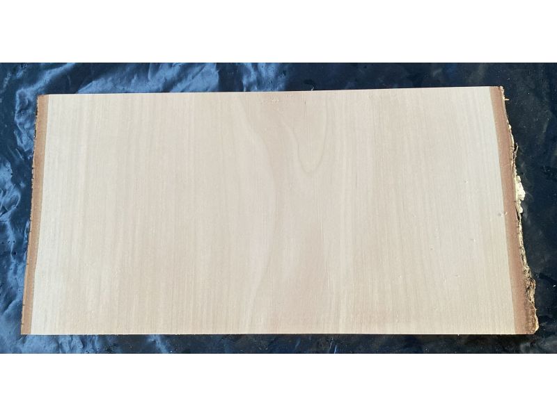 Pice unique en bois de BOULEAU massif, largeur 29 cm, hauteur 15 cm