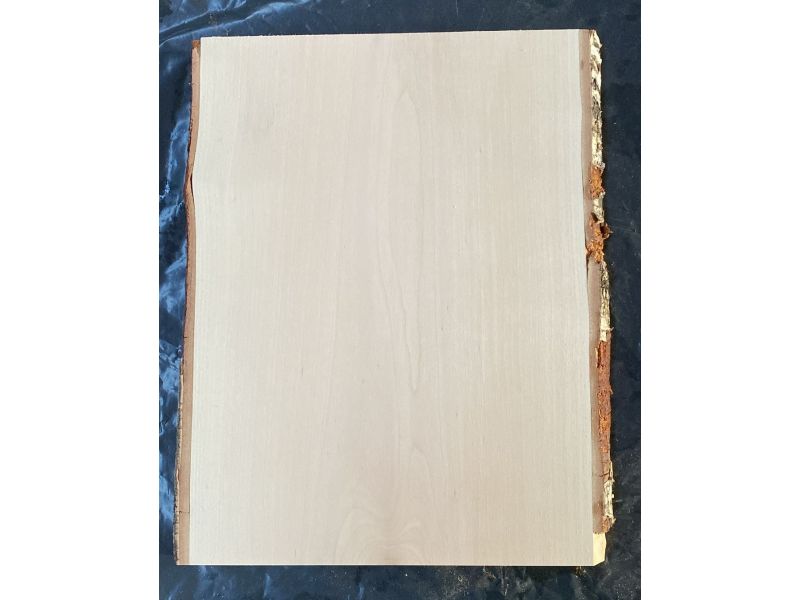 Pice unique en bois de BOULEAU massif, largeur 25 cm, hauteur 35 cm