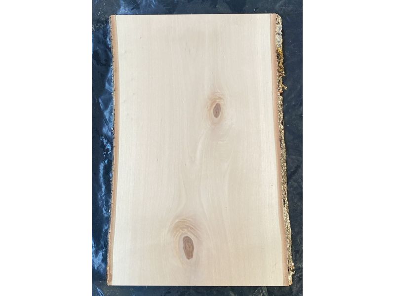 Pice unique en bois de BOULEAU massif, largeur 26 cm, hauteur 44 cm