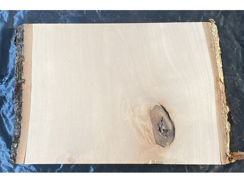 Pice unique en bois de BOULEAU massif, largeur 26 cm, hauteur 19 cm