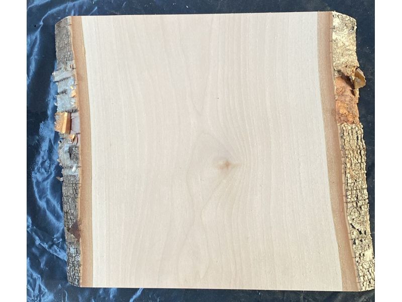 Pice unique en bois de BOULEAU massif, largeur 22 cm, hauteur 24 cm