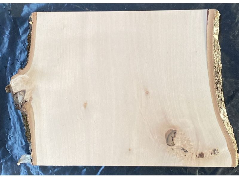 Pice unique en bois de BOULEAU massif, largeur 26 cm, hauteur 33 cm