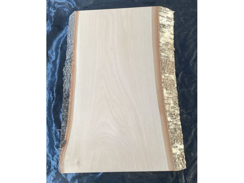 Pice unique en bois de BOULEAU massif, largeur 18 cm, hauteur 33 cm