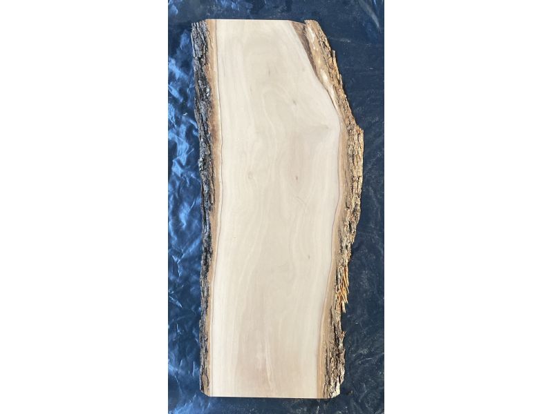 Pice unique en bois d'olivier massif avec chanfreins et corce 16x56 cm