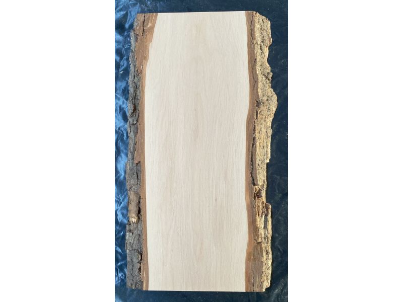 Pice unique en bois d'AULNE massif, largeur 16 cm, hauteur 42 cm