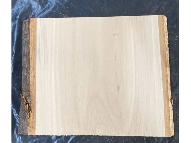 Pice unique en boi tilleul massif, avec corce, pour pyrogravure, 23x22 cm