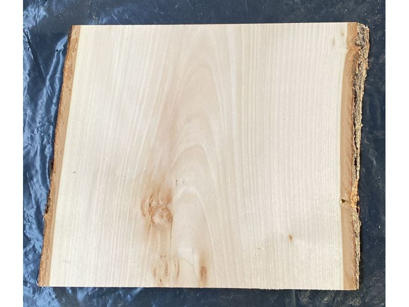 Pice unique en boi tilleul massif, avec corce, pour pyrogravure, 30x28 cm