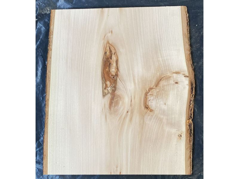 Pice unique en boi tilleul massif, avec corce, pour pyrogravure, 32x40 cm