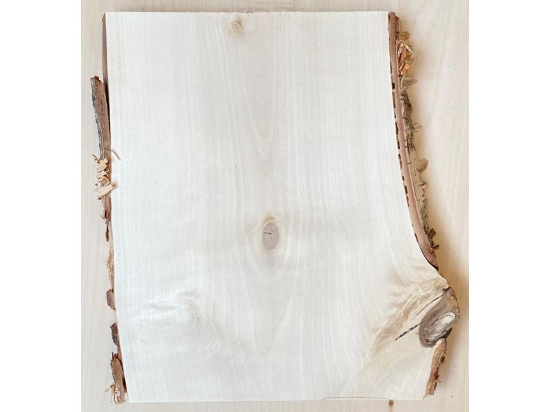 Pice unique en bois de BOULEAU massif, largeur 20 cm, hauteur 27 cm
