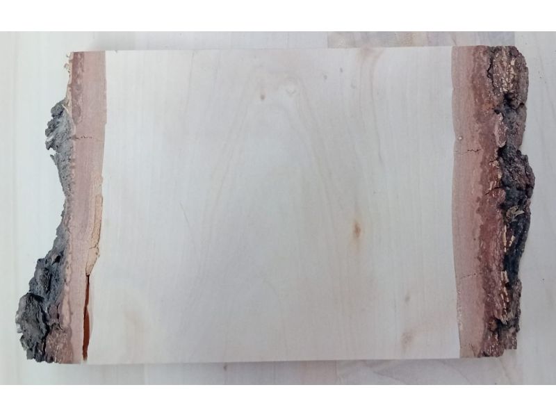 Pice unique en bois de BOULEAU massif, largeur 17 cm, hauteur 13 cm