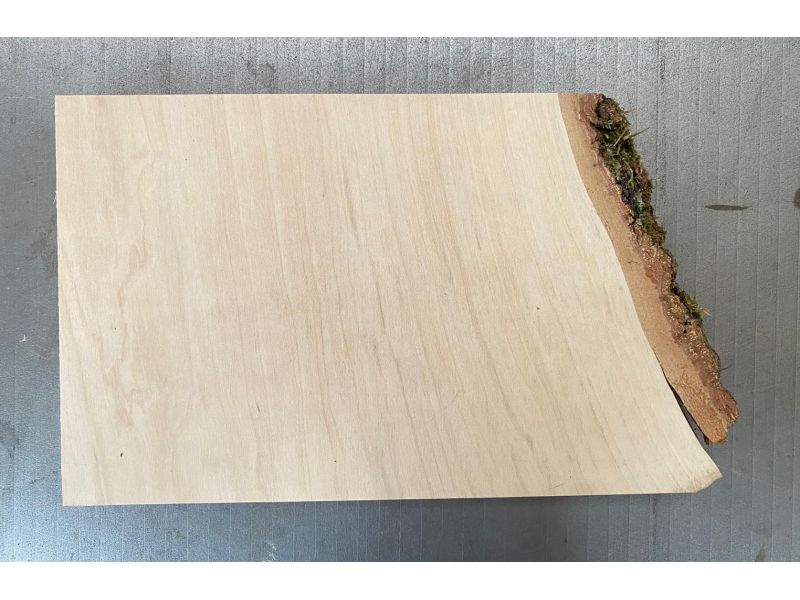 Pice unique en bois de BOULEAU massif, largeur 23 cm, hauteur 16 cm