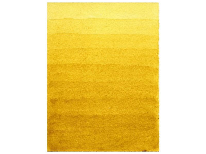 Reseda lacquer - yellow ARZICA , vegetable, Italian pigment