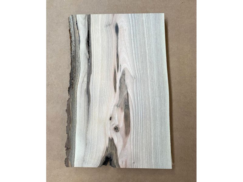 Pezzo unico in legno massiccio di NOCE, larghezza 17 cm, altezza 28 cm, CON NODI
