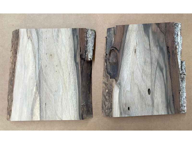 Pezzo unico in legno massiccio di NOCE, larghezza 18 cm, altezza 25 cm, CON FORI TARLO