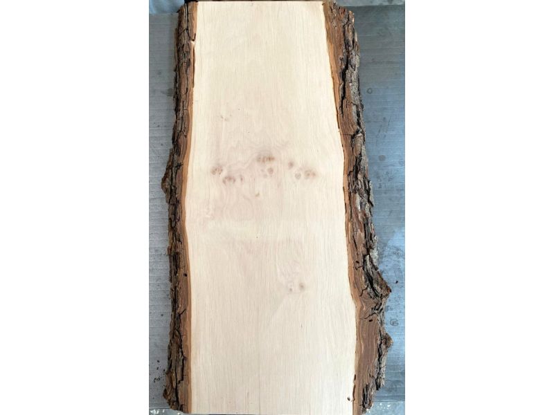 Pi�ce unique en bois d'aulne massif, avec �corce, pour pyrogravure, 20x50 cm