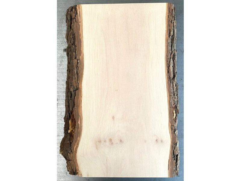 Pi�ce unique en bois d'aulne massif, avec �corce, pour pyrogravure,20X37 cm