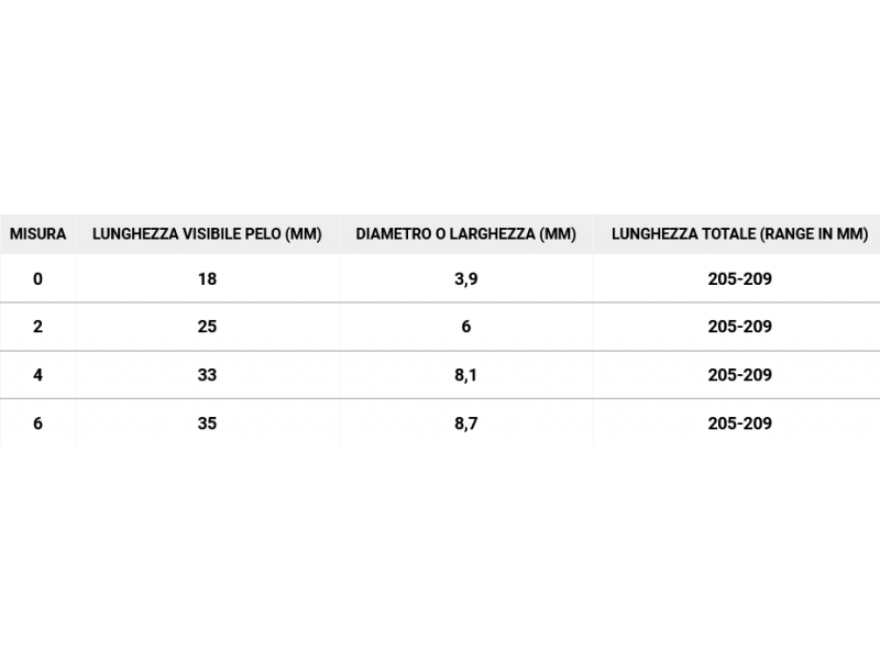 Borciani Bonazzi - serie 700, MOLINARI, Pennello tondo sintetico da viaggio