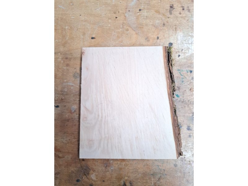 Unique piece in solid ALDER wood, width 16 cm, height 20 cm