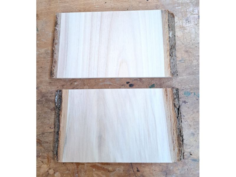 Unique piece in solid lime wood, with bark, for pyrography, 18x11 cm