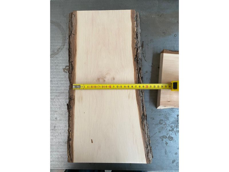 Pezzo unico in legno massiccio di ONTANO, larghezza 17 cm, altezza 42 cm