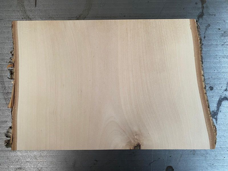 Pezzo unico in legno massiccio di BETULLA, larghezza 26 cm, altezza 19 cm