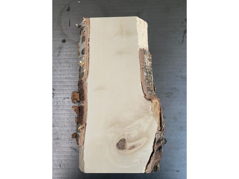 Pezzo unico in legno massiccio di BETULLA, larghezza 12 cm, altezza 32 cm