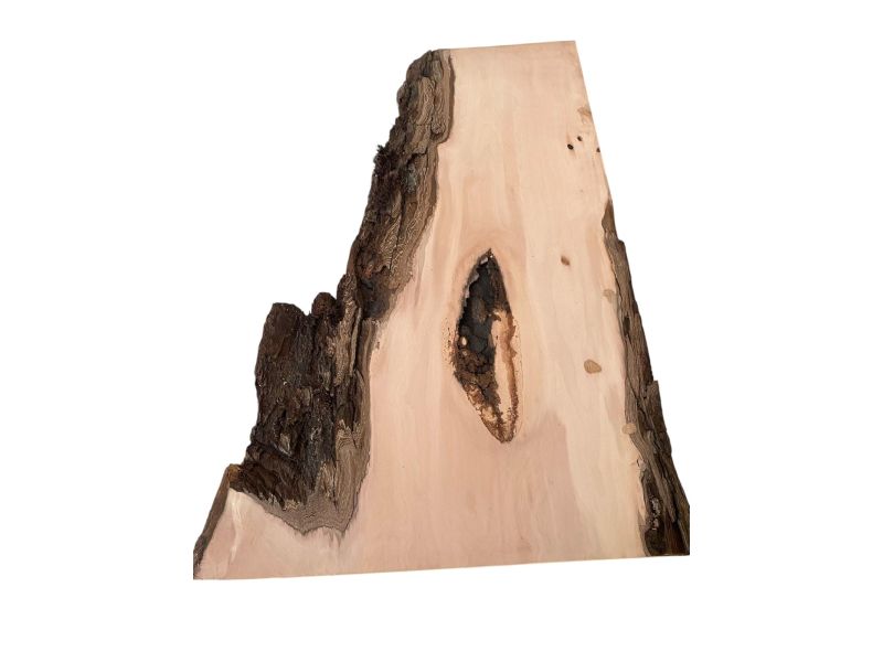 Pezzo unico in legno di Pero, con corteccia, larghezza 19-38 cm x altezza 64 cm