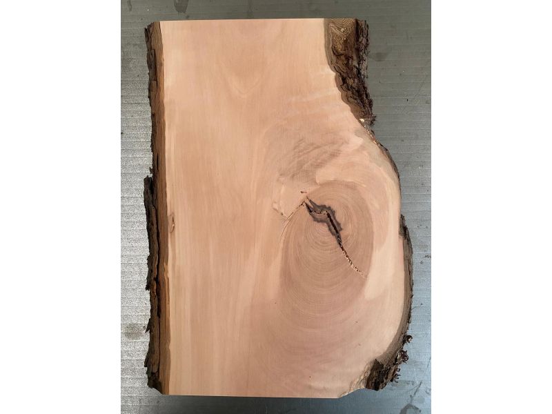 Pezzo unico in legno di Pero, con corteccia, larghezza 22 cm x altezza 39 cm